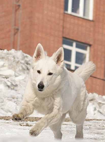 Зима