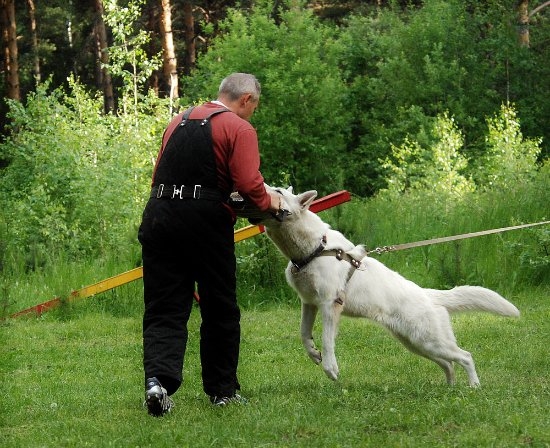 Первые тренировки июнь 2010