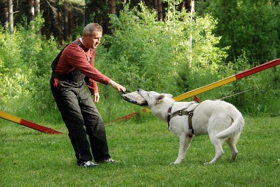 Первые тренировки июнь 2010