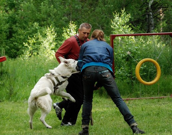 Первые тренировки июнь 2010