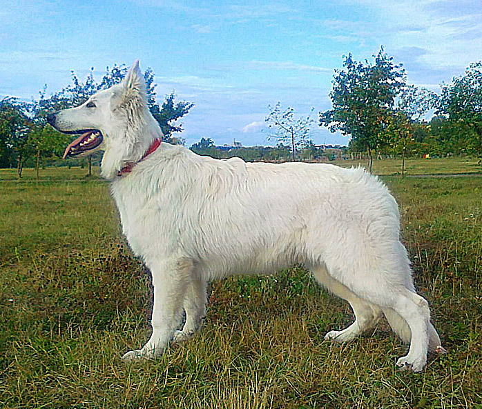 2011